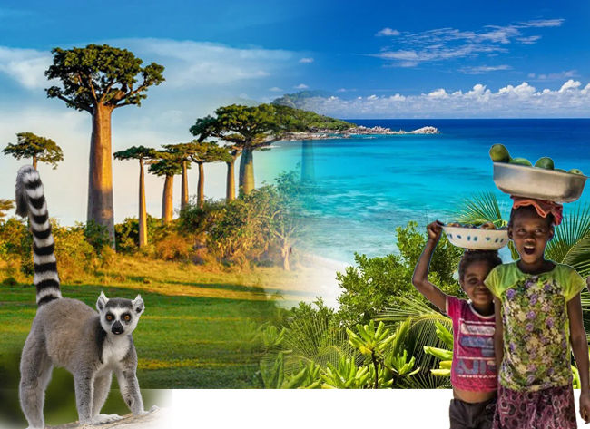 马达加斯加一地深度探索之旅12天
