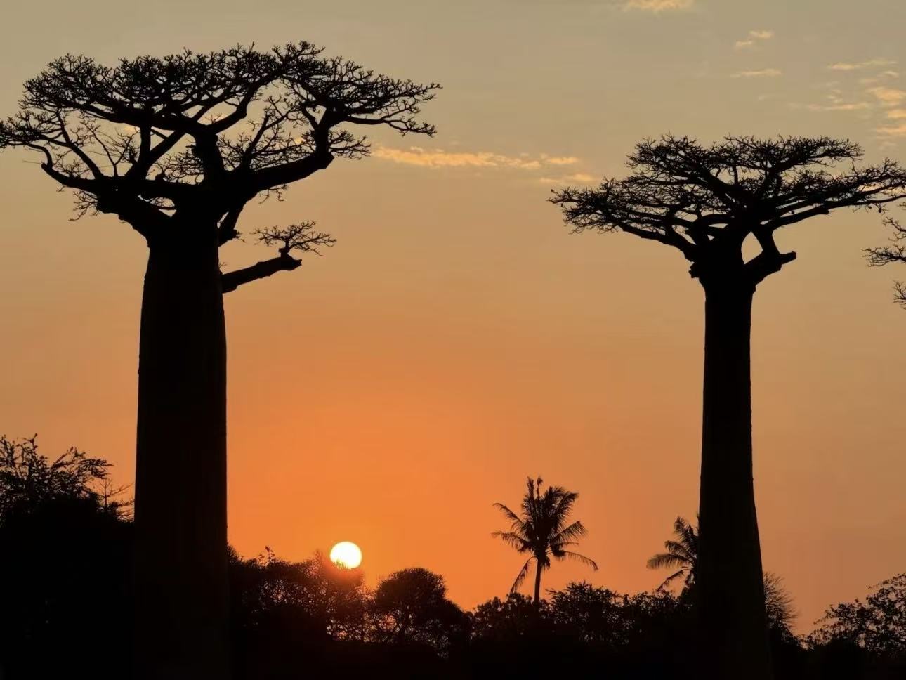 华悦足迹・香草四岛17天野奢漫游 印度洋四大秘境打卡：马达加斯加·留尼汪·毛里求斯·塞舌尔