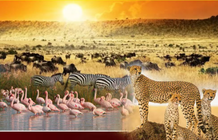 肯尼亚、坦桑尼亚（桑吉巴尔岛）2国12天