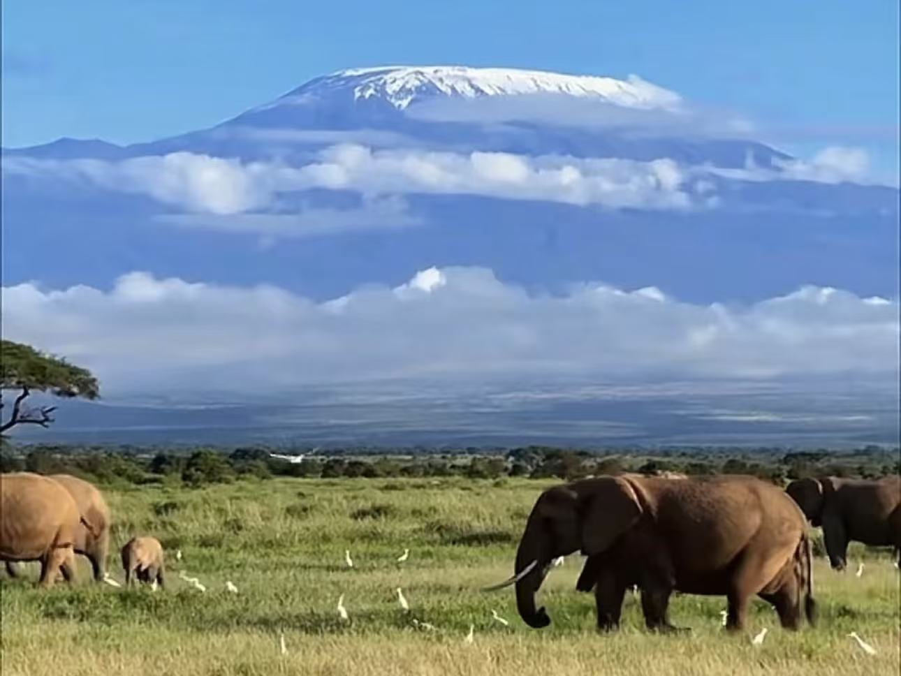 华悦足迹｜非洲旅游·七国24天行程推荐·全景纯玩东非旅游团