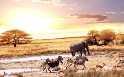 华悦足迹｜非洲7国21天狂野心灵之旅 —— 一生一次，奔赴野性大地的终极召唤