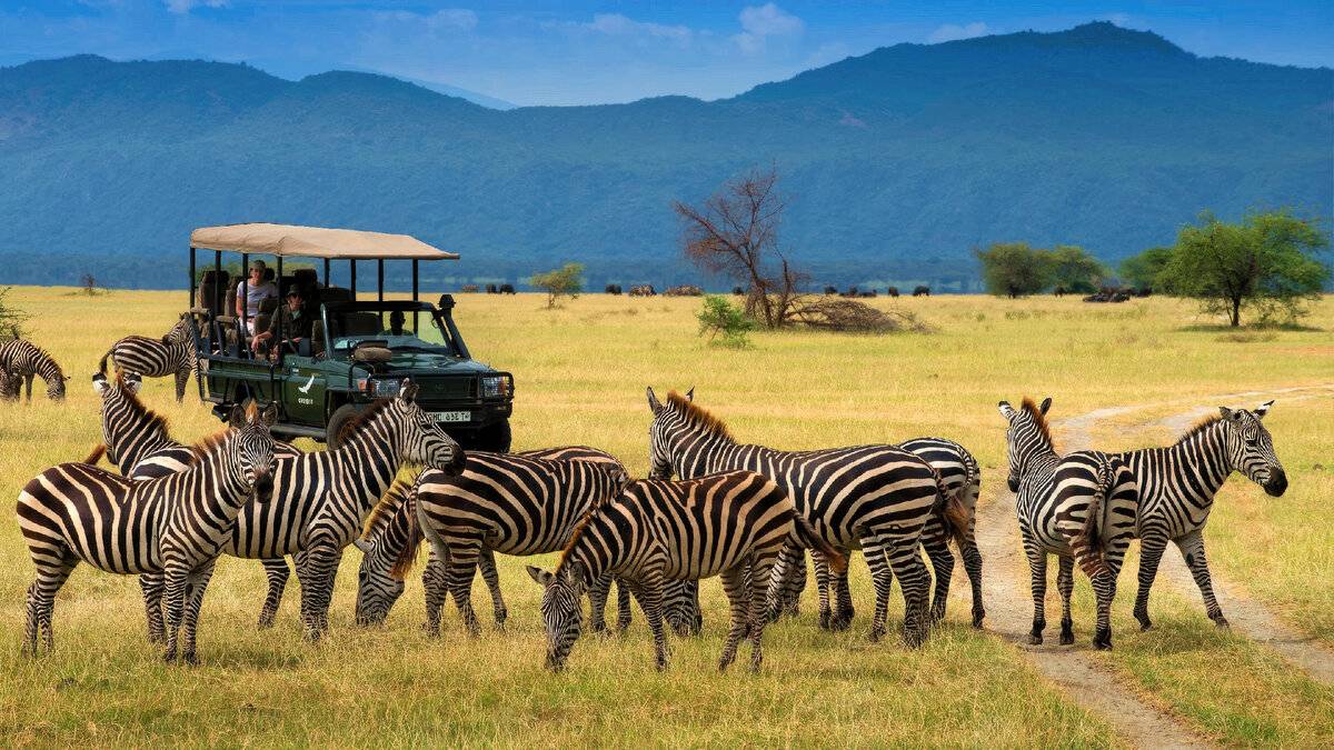 野性非洲5国16天｜穿越荒野奇迹，邂逅一生必看的非洲盛景